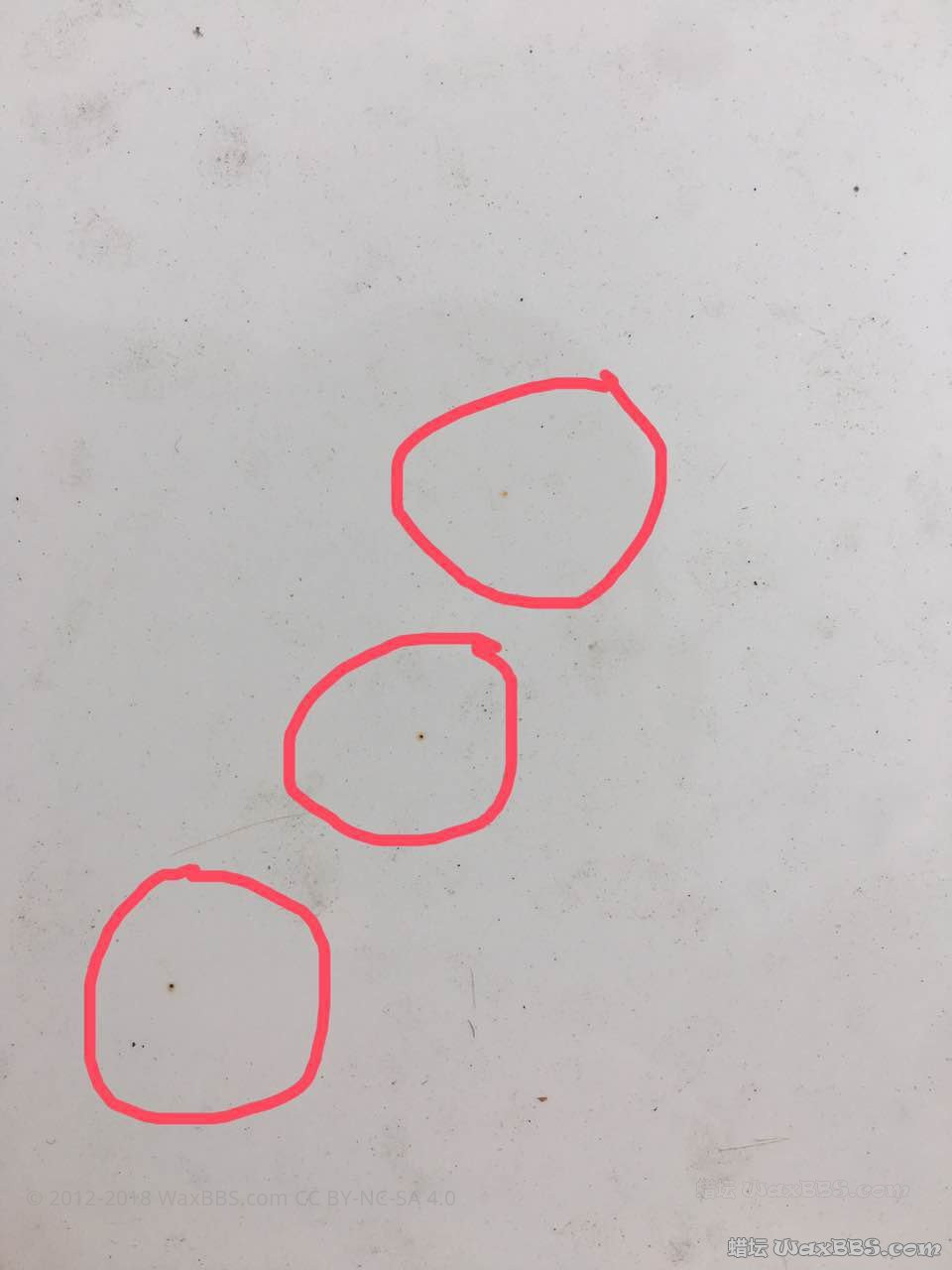 10934382757998797.jpg