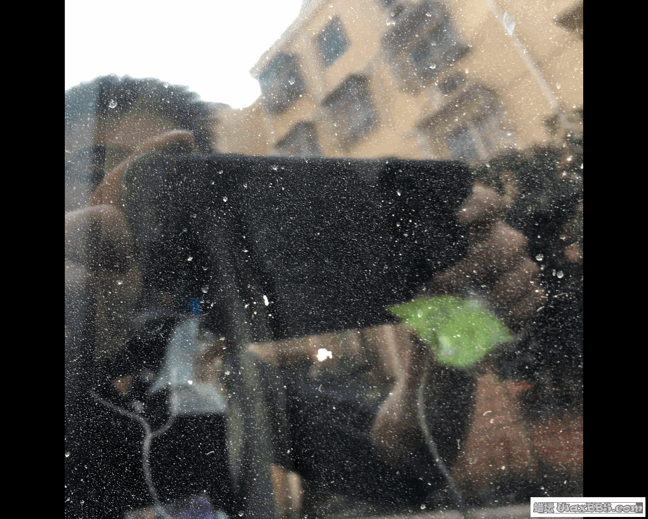 17.gif