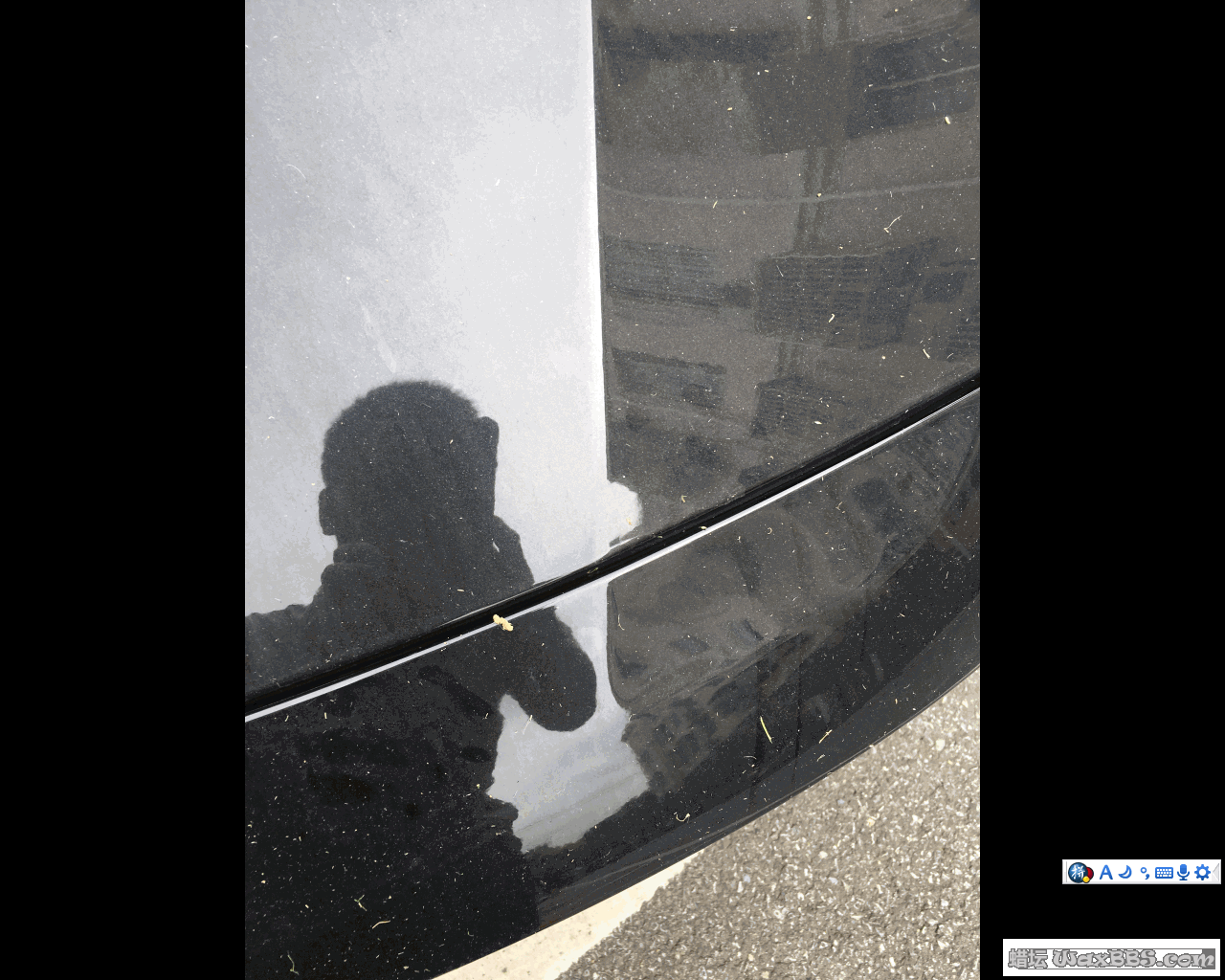 2.gif