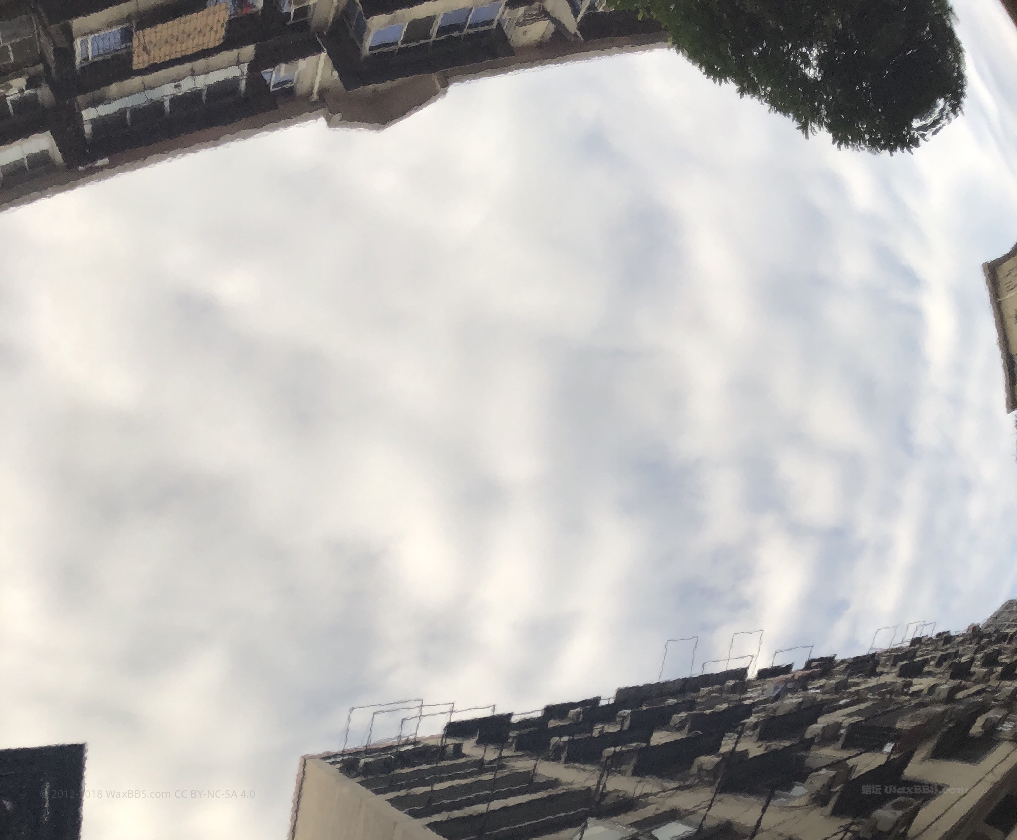 3CF6DEAB-E7D7-403A-9772-F962A3690BE9.jpeg