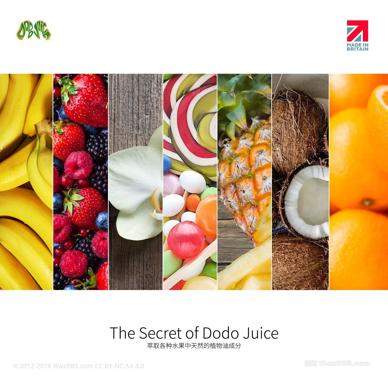 4.white_bg_secret_of_dodoJuice_fruit_landscape_poster.jpg