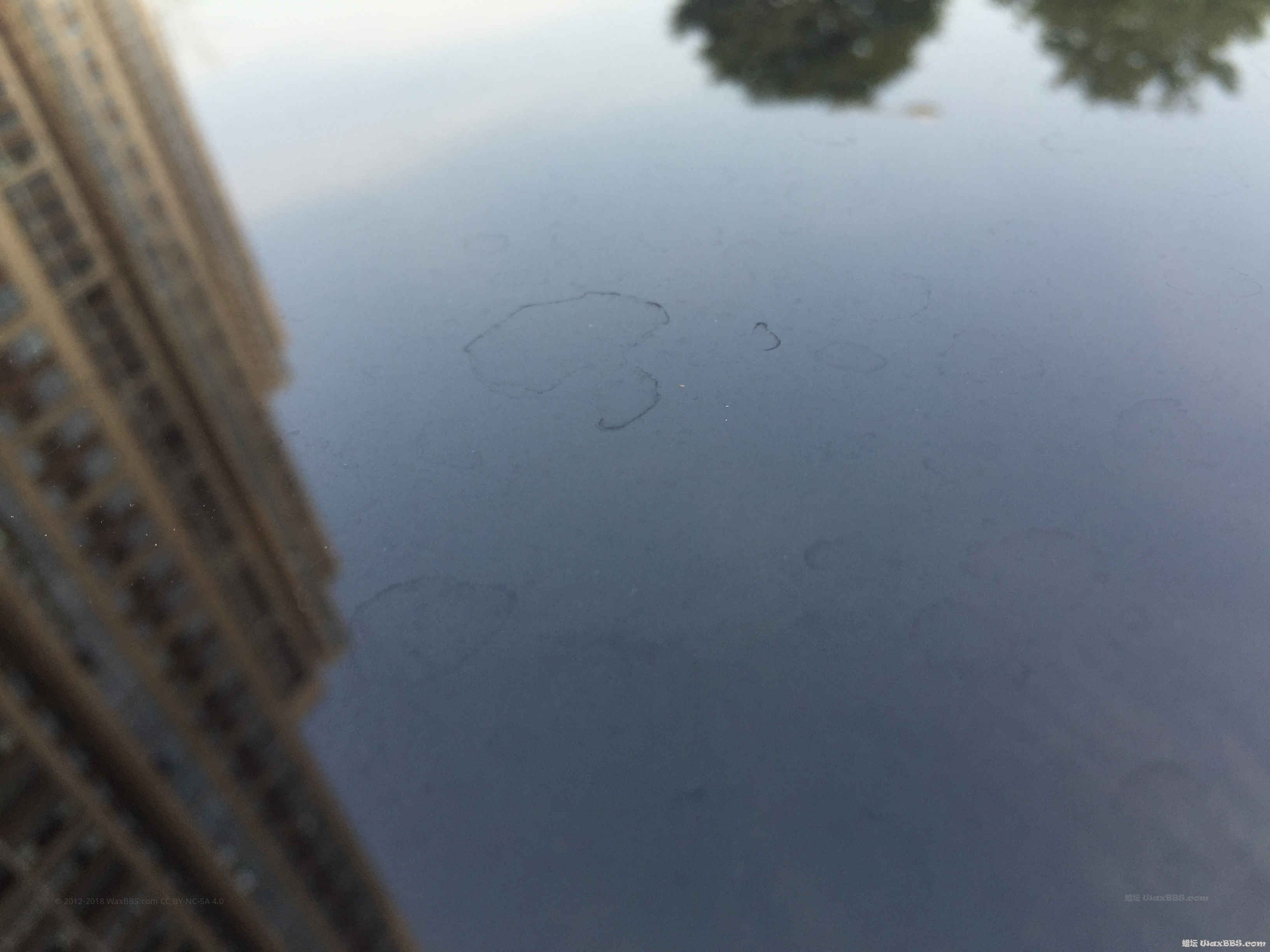 500966364136605414.jpg
