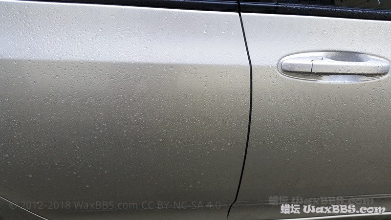 淋雨三天后侧面_副本.jpg