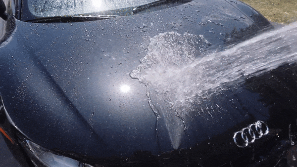 b922f8_933588639d094555aa6e0a9bb67b3cde_mv2.gif