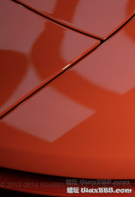 BIN_9549.jpg