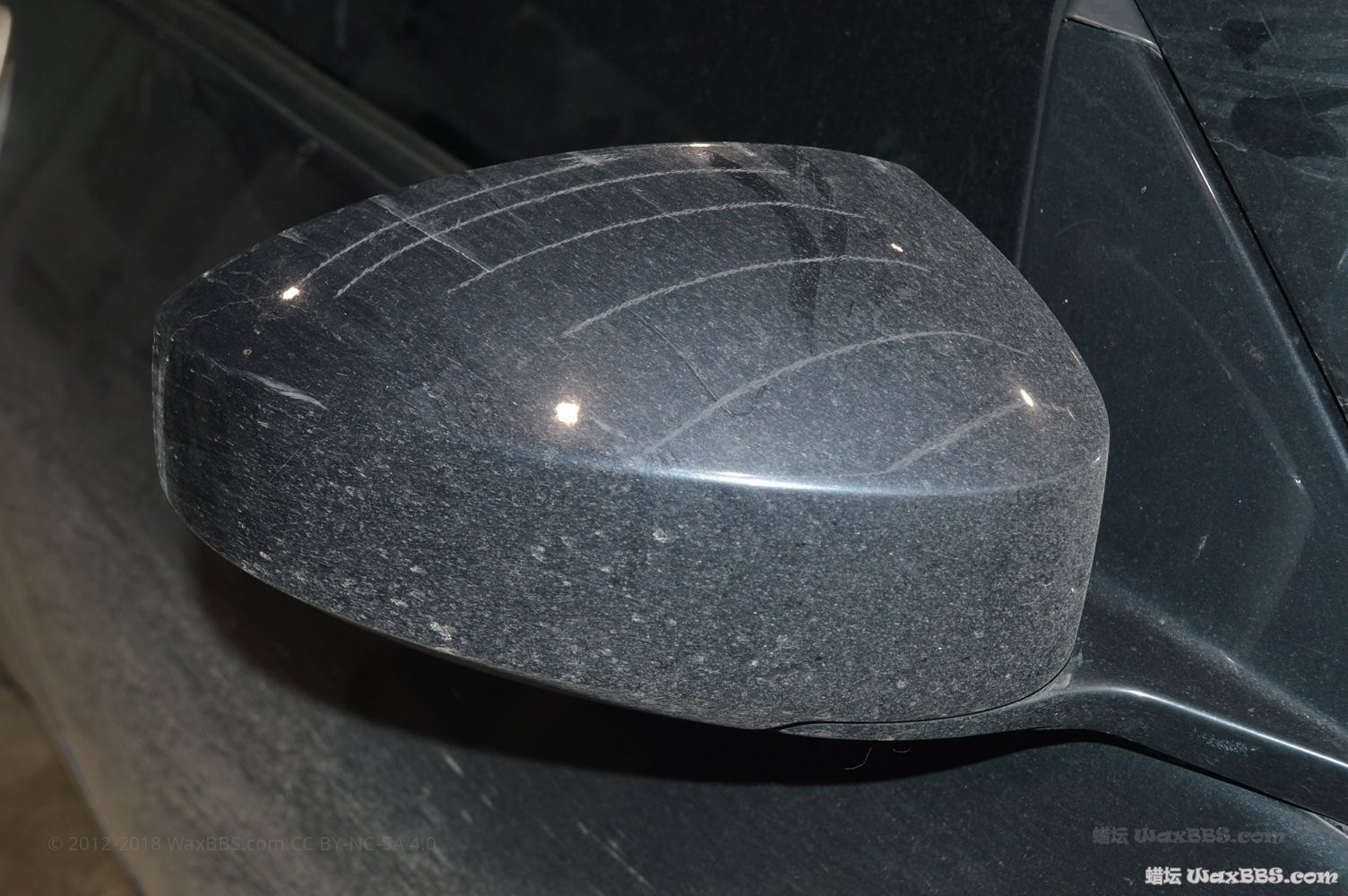DSC_9806.jpg