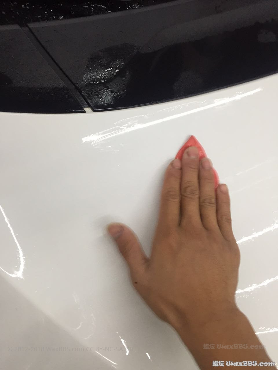 image.jpeg