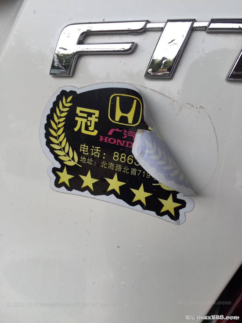 image.jpeg