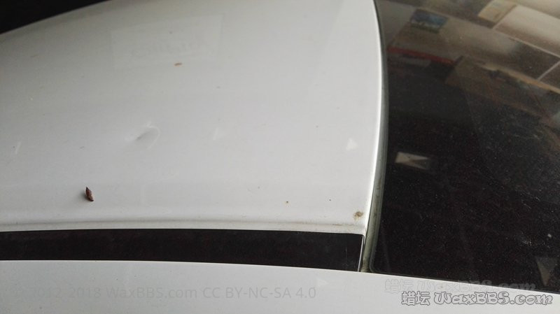 IMG_20161007_143517.jpg