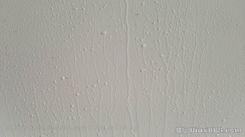 IMG_20161009_114733.jpg
