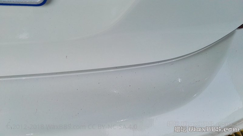 IMG_20161009_121619.jpg