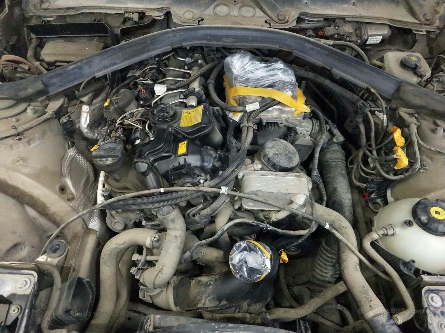 mmexport1540313696873.jpg