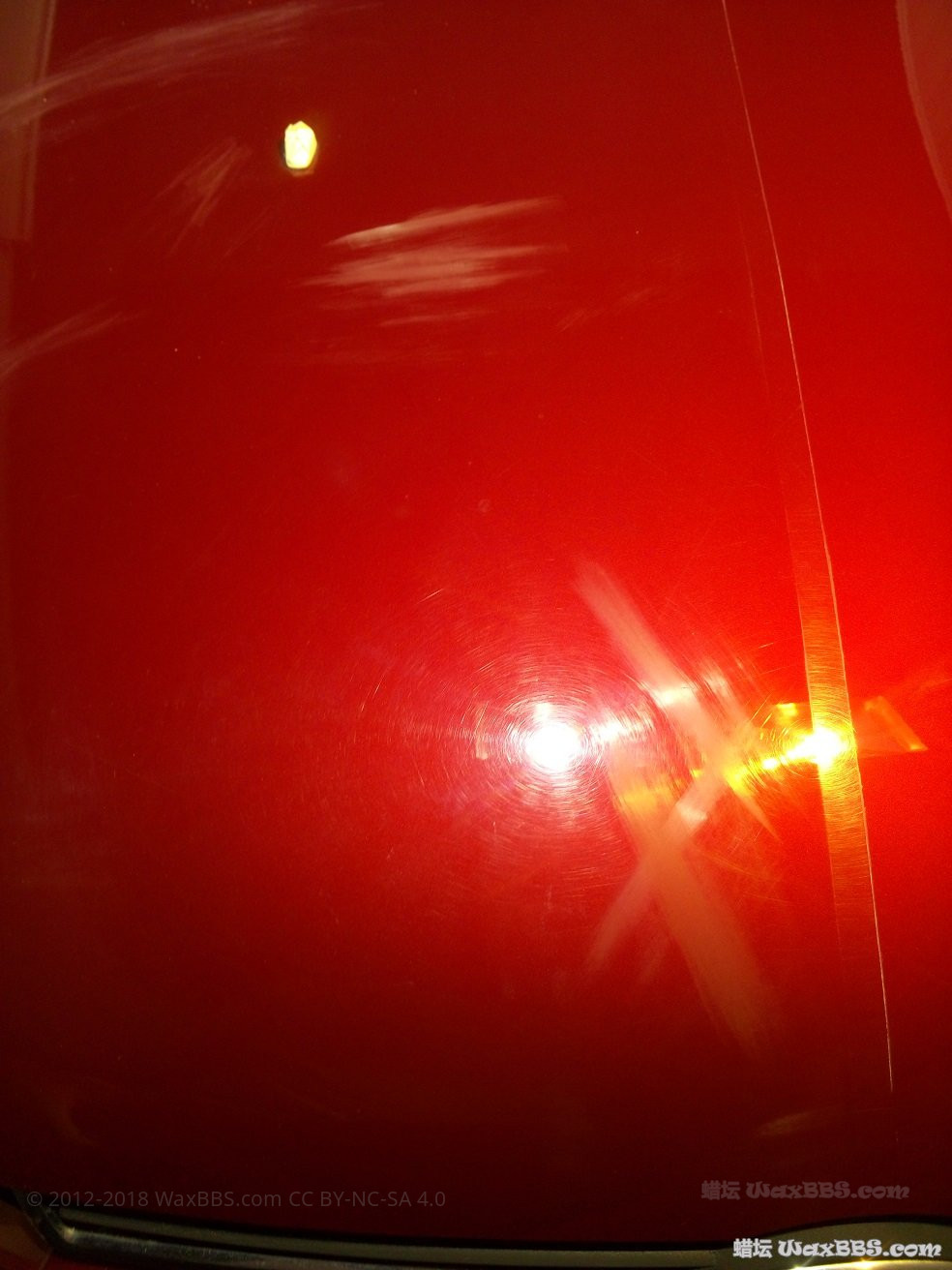 P51104-153412.jpg