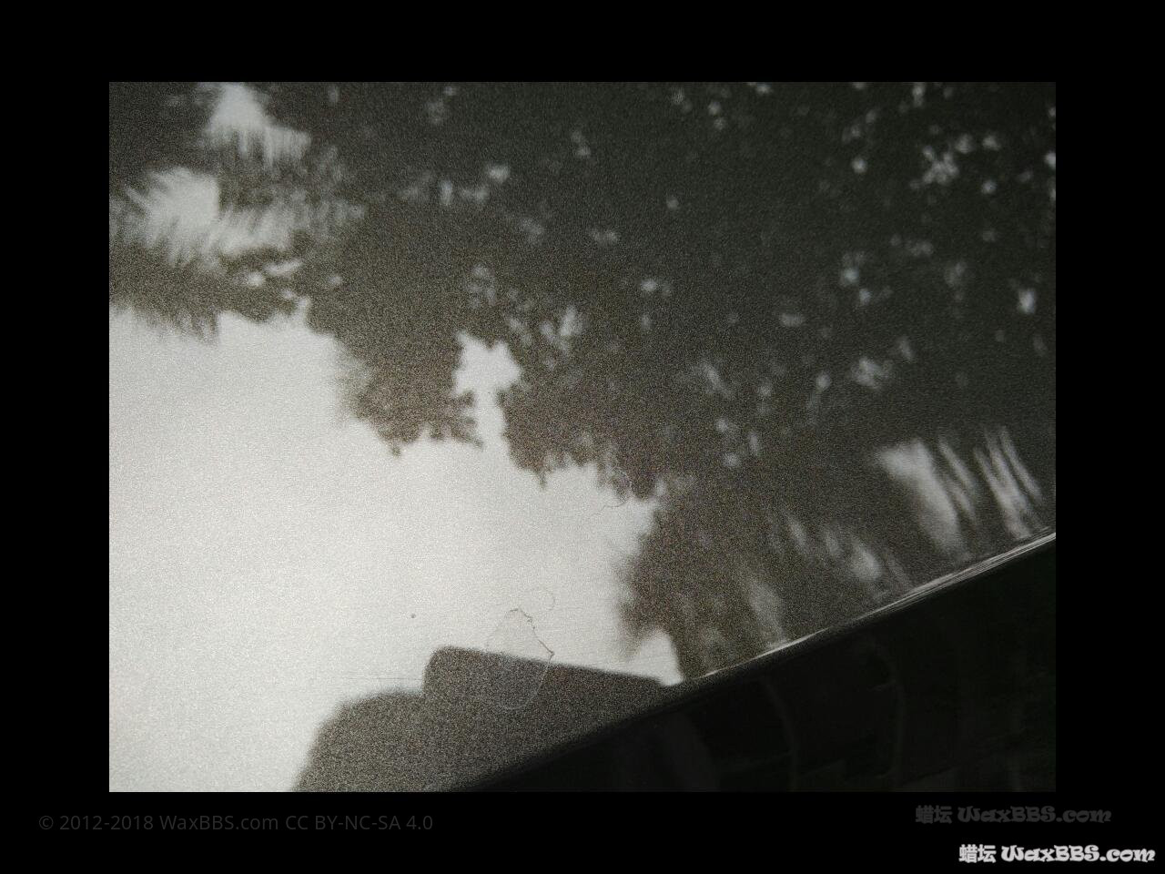 rps20160828_120136.jpg