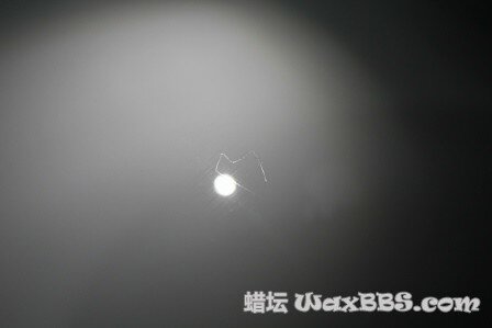 IMG_9683.JPG IMG_9683.JPG