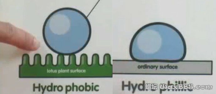 hydrophobic.jpg