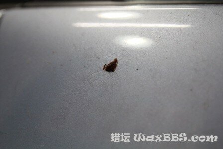 IMG_1027.JPG