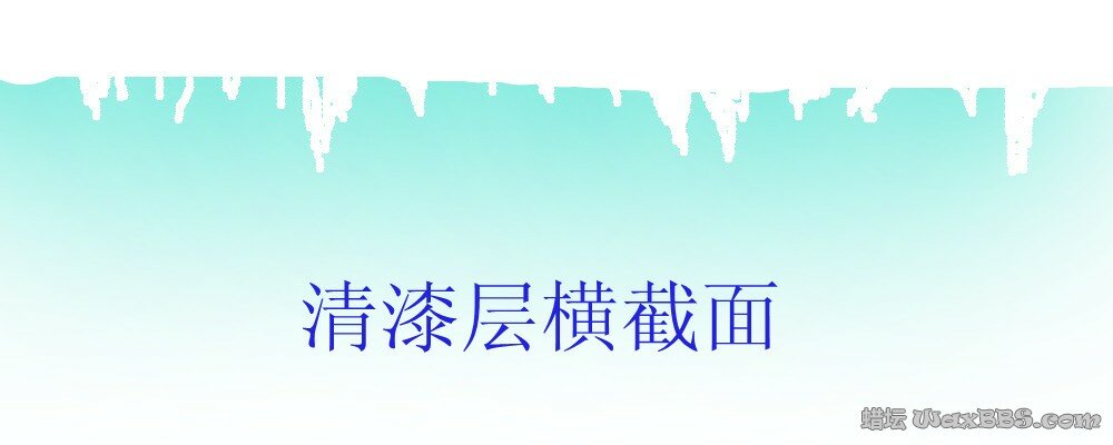 清漆层横截面.jpg