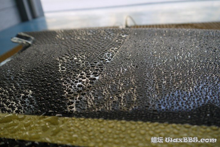 P1110333_缩小大小.JPG P1110333_缩小大小.JPG