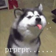 a815211